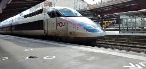 536-TGV-Reseau