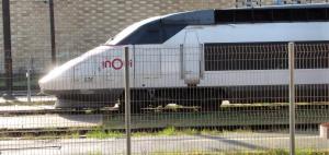 538-TGV-Reseau