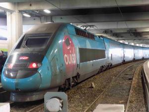 771 (TGV DUPLEX DASYE HAUTE DENSITE)