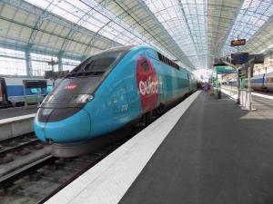 772 (TGV DUPLEX DASYE HAUTE DENSITE)